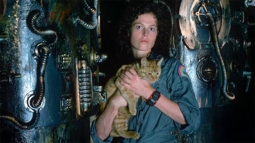 Sigourney Weaver nos bastidores de Alien: O 8º Passageiro segurando um gato malhado cor de mel | Especial Alien Day Blog Questão D